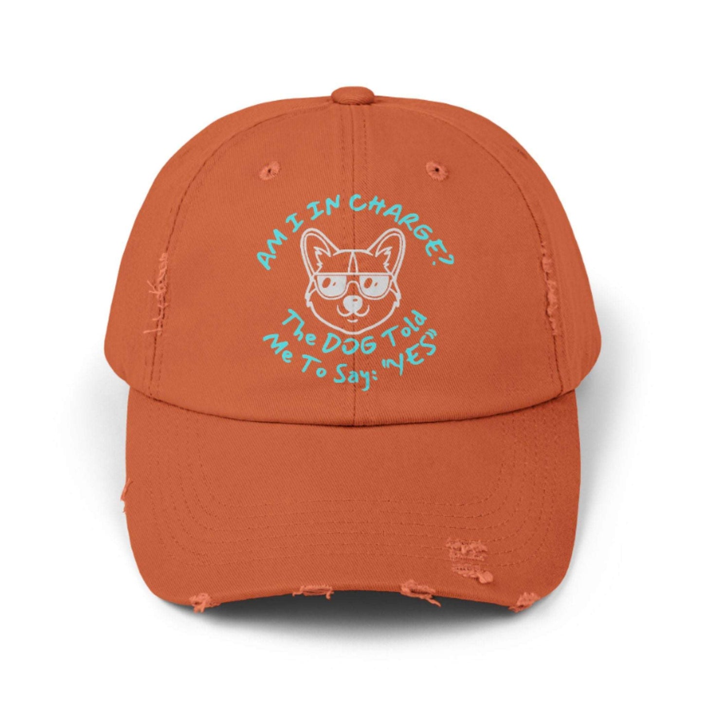 Funny Dog Hat – Distressed Black Cap, "Am I In Charge?" Dog Lover Gifts