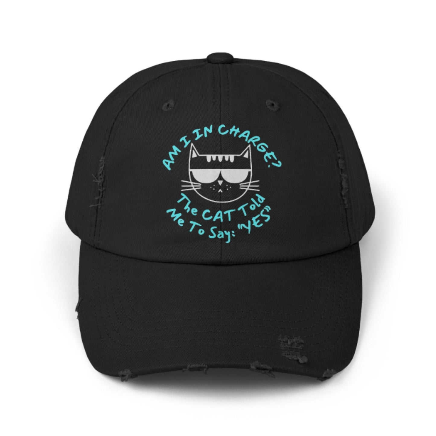 Funny Cat Hat – Distressed Black Baseball Cap, “Am I In Charge?” Cat Lover Gift