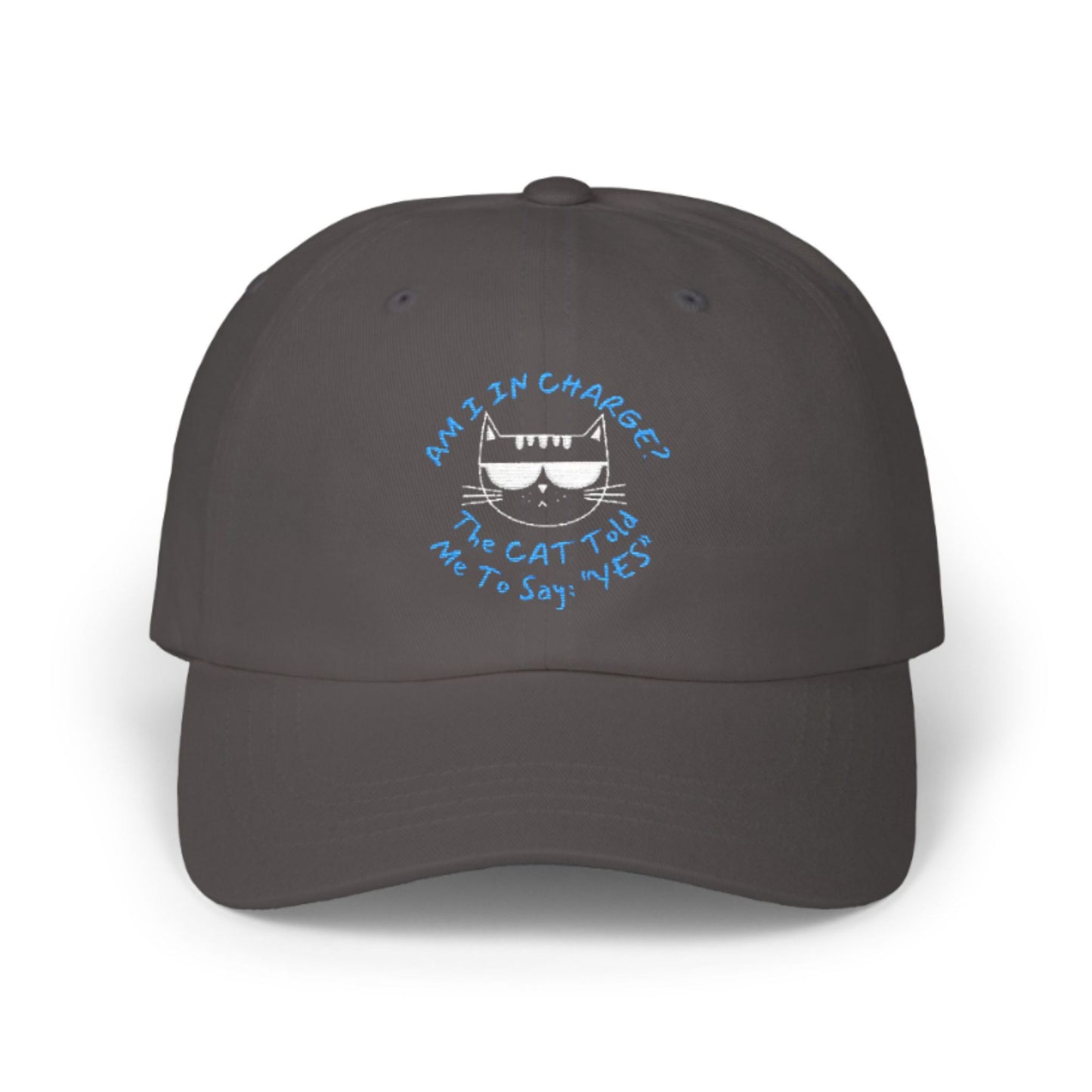 Distressed Cat Baseball Cap – Funny Unisex Hat “Am I In Charge?”