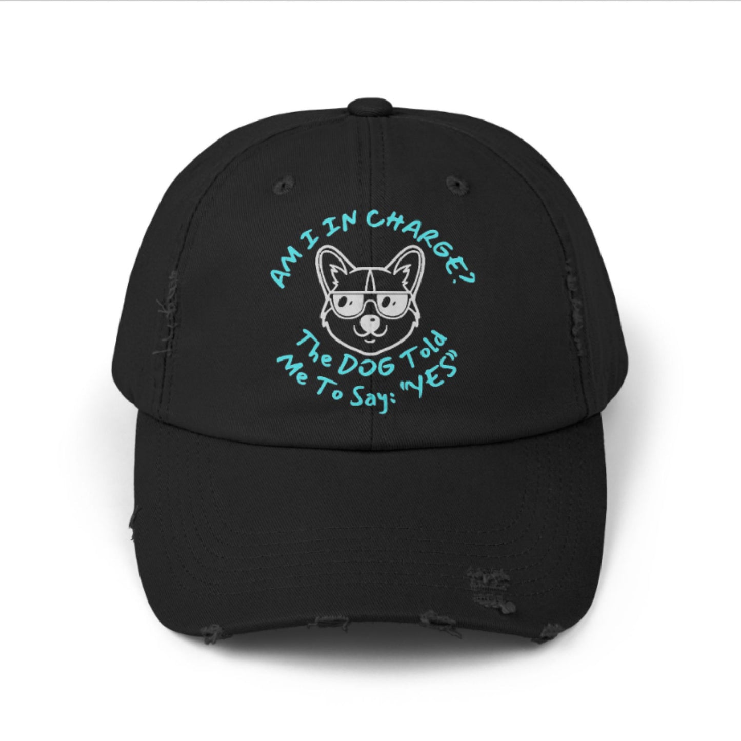Funny Dog Hat – Distressed Black Cap, "Am I In Charge?" Dog Lover Gifts