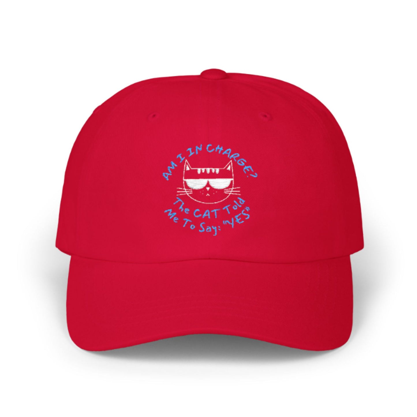 Distressed Cat Baseball Cap – Funny Unisex Hat “Am I In Charge?”