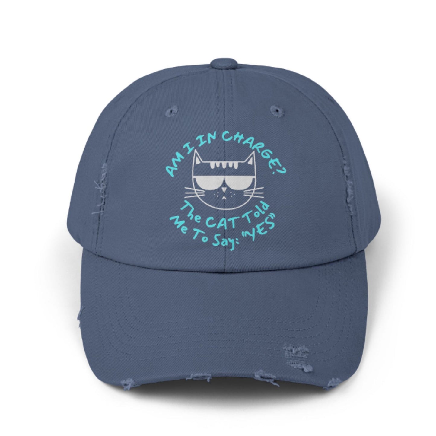 Funny Cat Hat – Distressed Black Baseball Cap, “Am I In Charge?” Cat Lover Gift