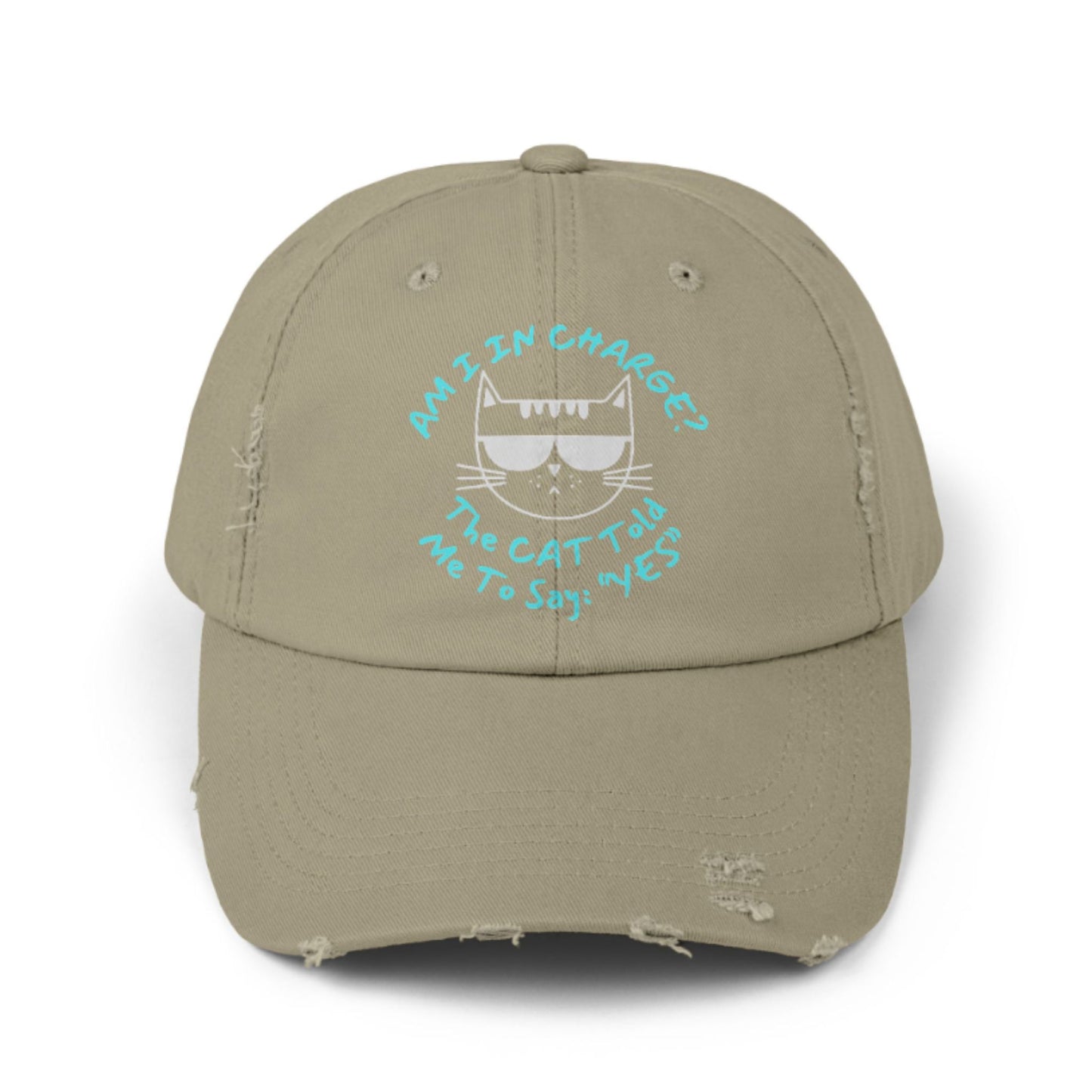 Funny Cat Hat – Distressed Black Baseball Cap, “Am I In Charge?” Cat Lover Gift