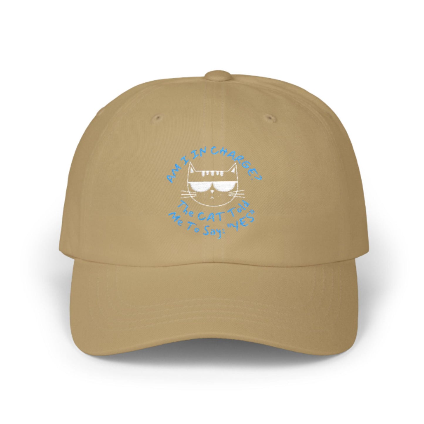 Distressed Cat Baseball Cap – Funny Unisex Hat “Am I In Charge?”