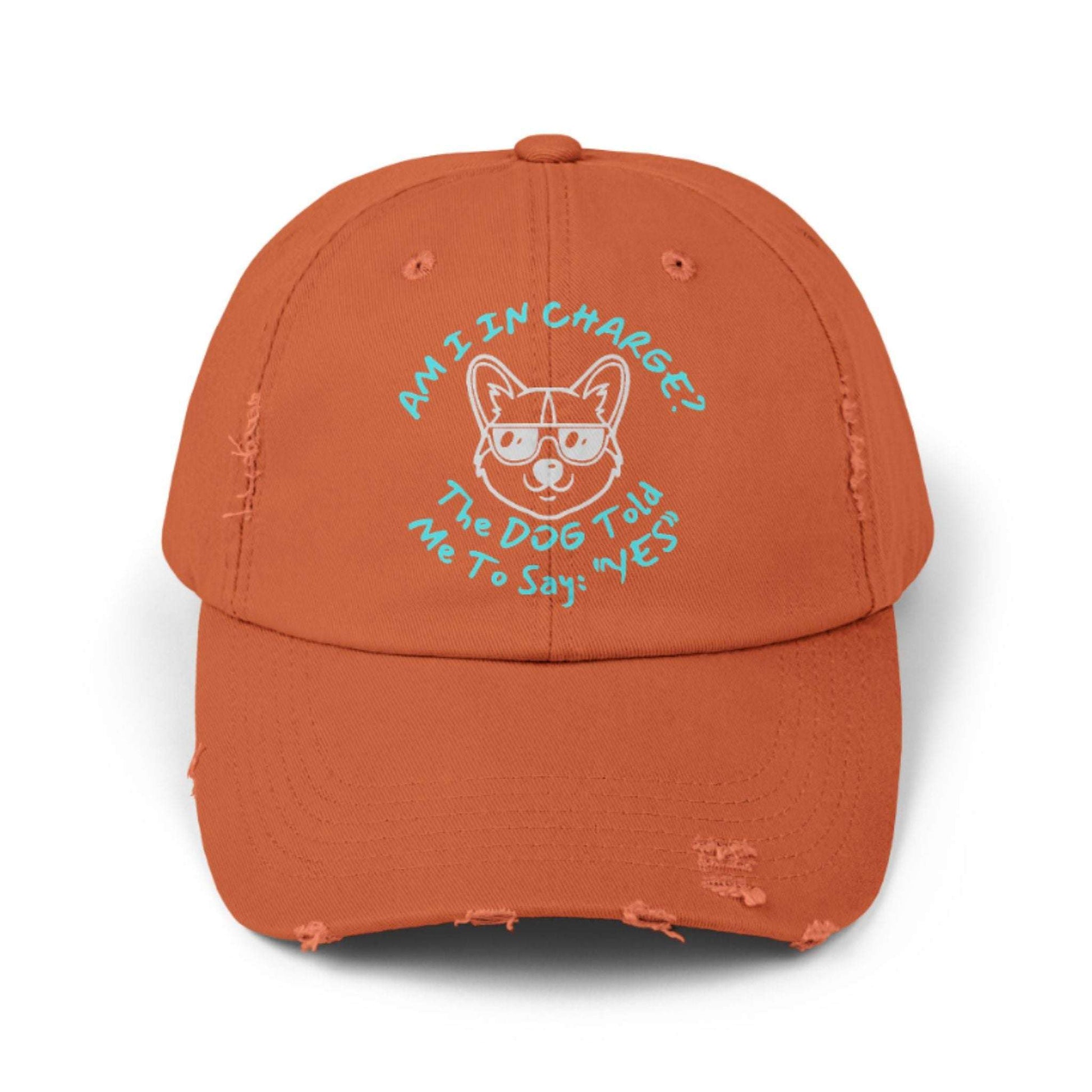 Funny Dog Hat – Distressed Black Cap, "Am I In Charge?" Dog Lover Gifts