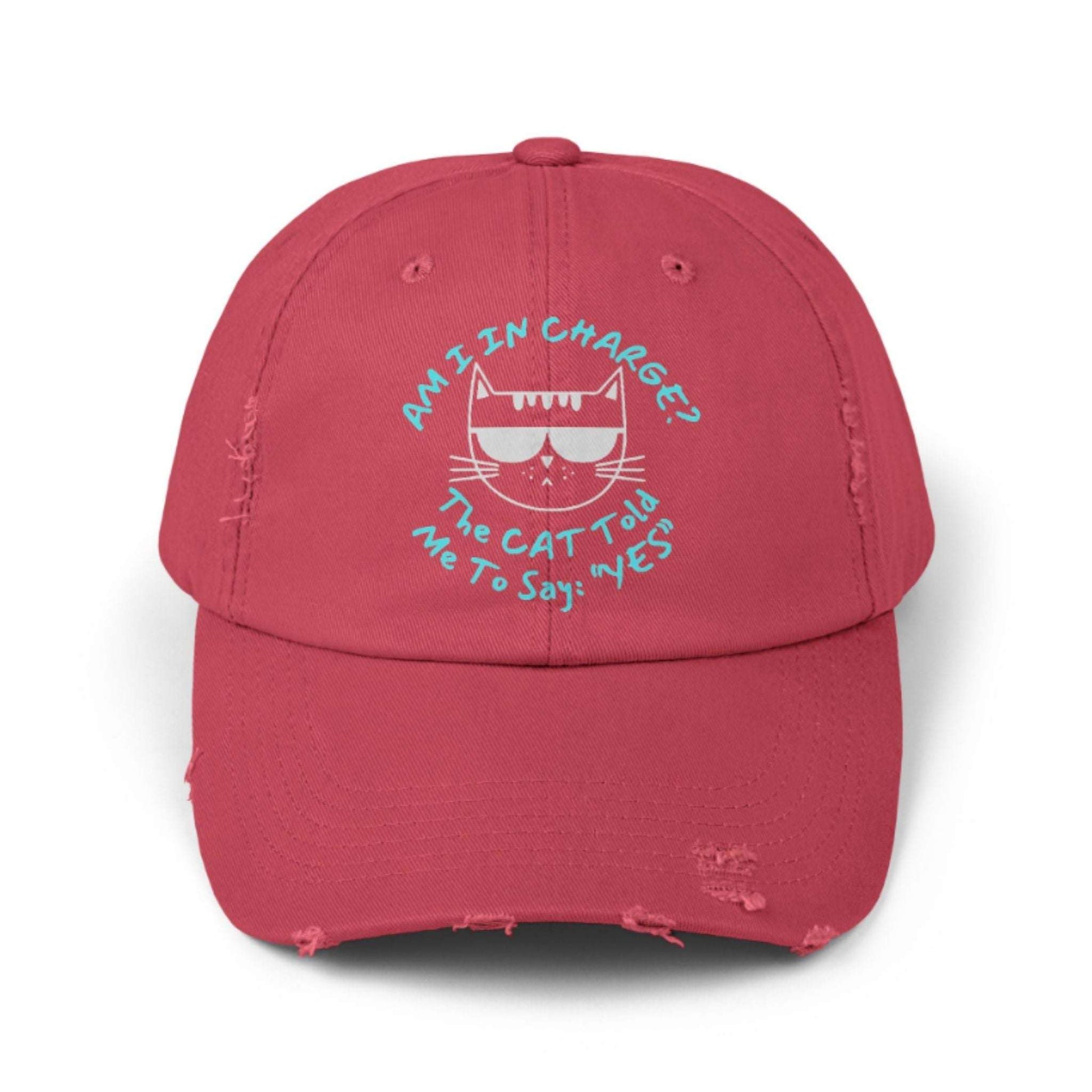 Funny Cat Hat – Distressed Black Baseball Cap, “Am I In Charge?” Cat Lover Gift