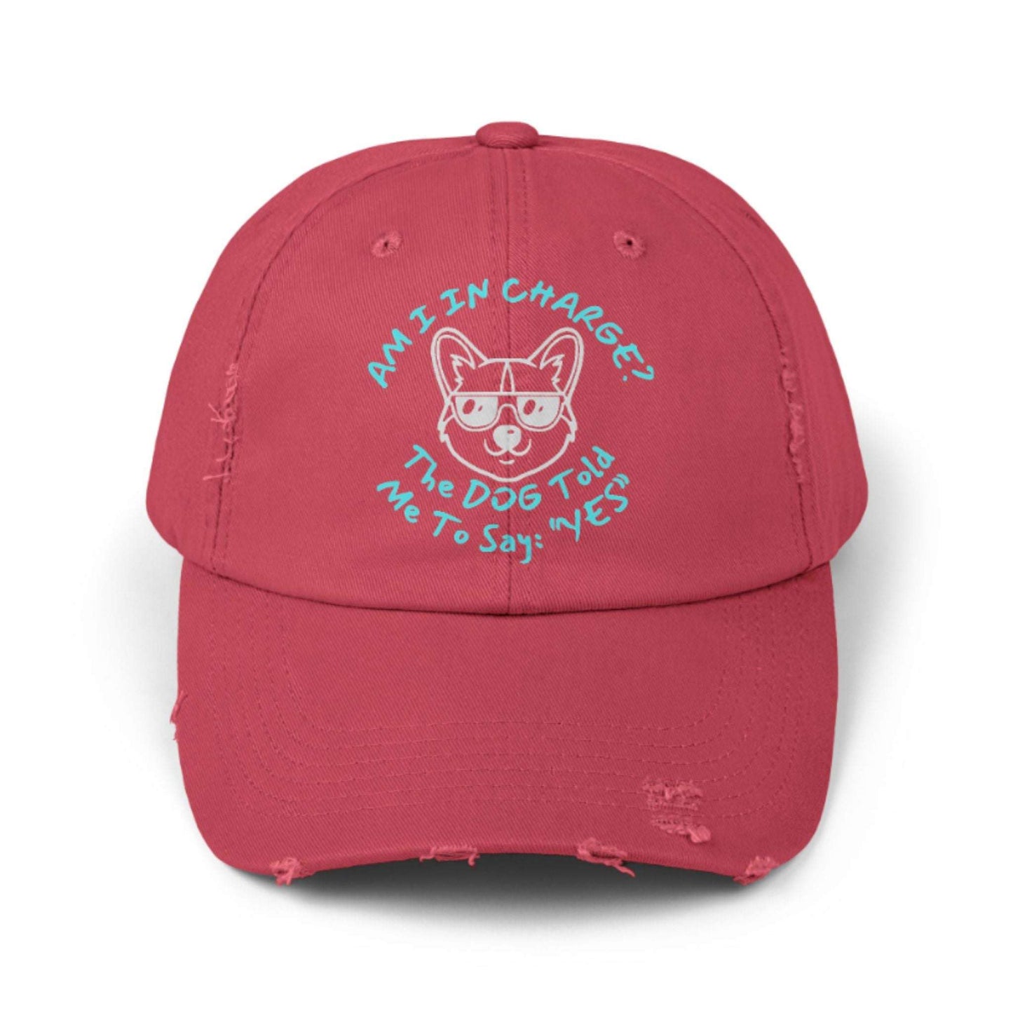 Funny Dog Hat – Distressed Black Cap, "Am I In Charge?" Dog Lover Gifts