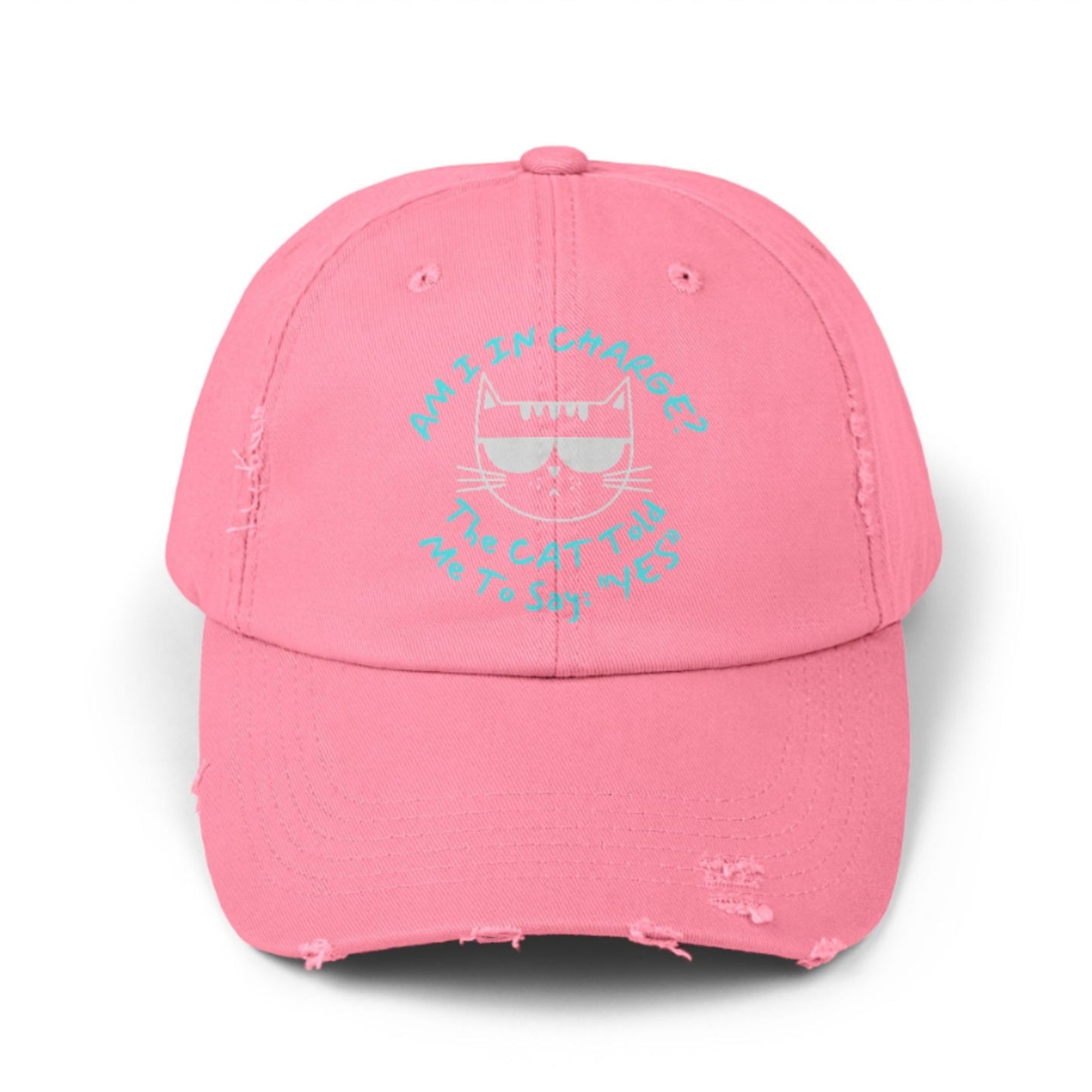 Funny Cat Hat – Distressed Black Baseball Cap, “Am I In Charge?” Cat Lover Gift