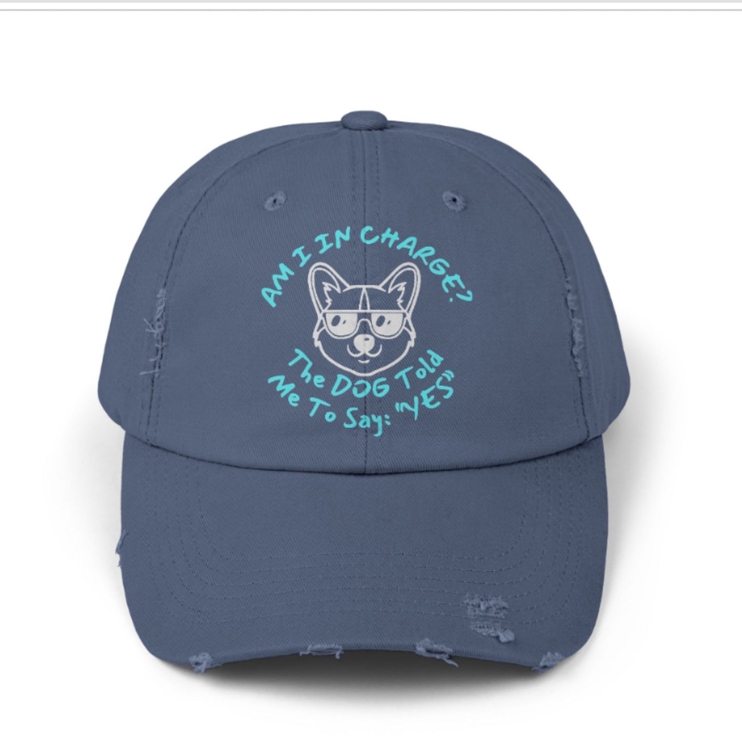 Funny Dog Hat – Distressed Black Cap, "Am I In Charge?" Dog Lover Gifts