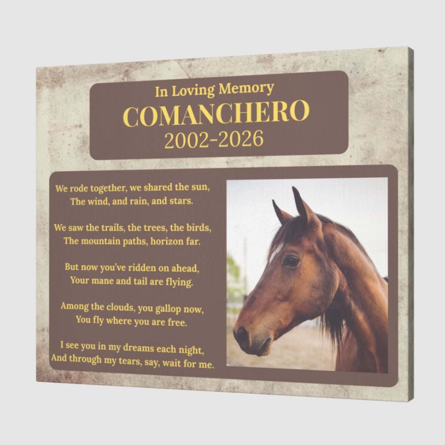 Custom Horse Memorial Canvas with Photo – Tribute Gifts Horse Lovers