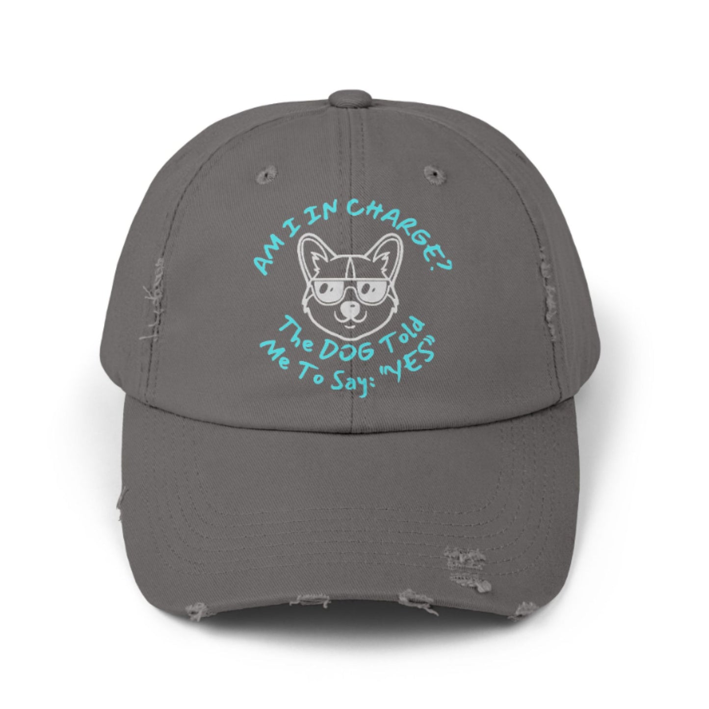 Funny Dog Hat – Distressed Black Cap, "Am I In Charge?" Dog Lover Gifts