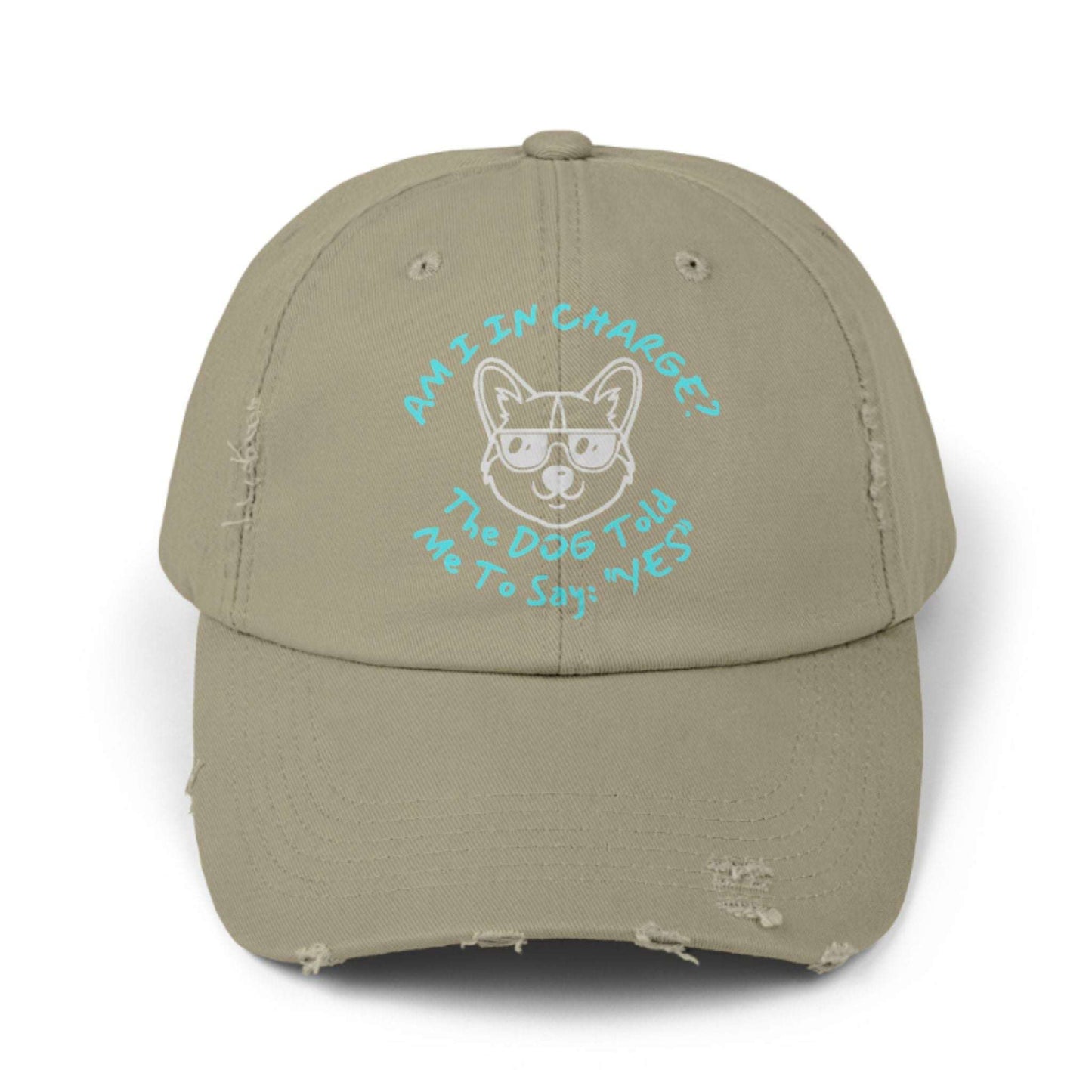 Funny Dog Hat – Distressed Black Cap, "Am I In Charge?" Dog Lover Gifts