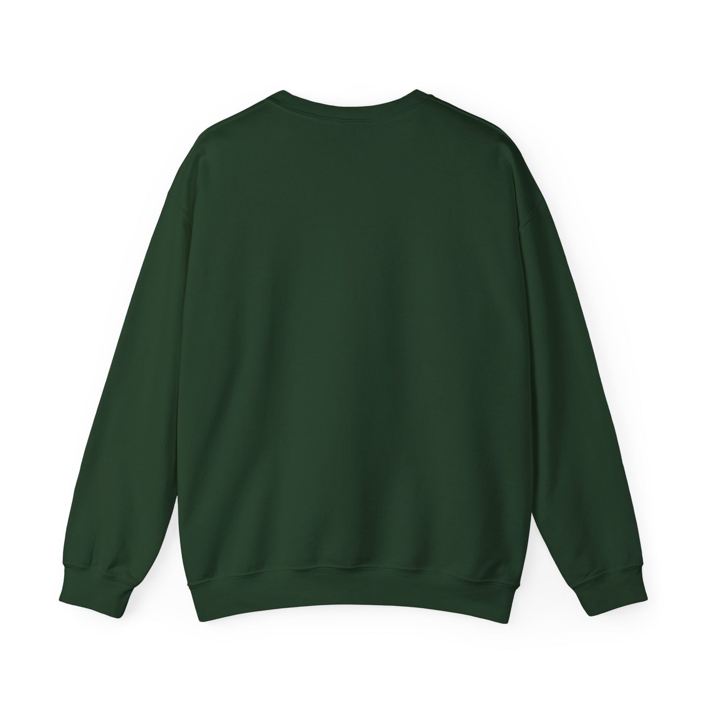 Brain Downloading Horses Only Sweatshirt Funny Equestrian Crewneck