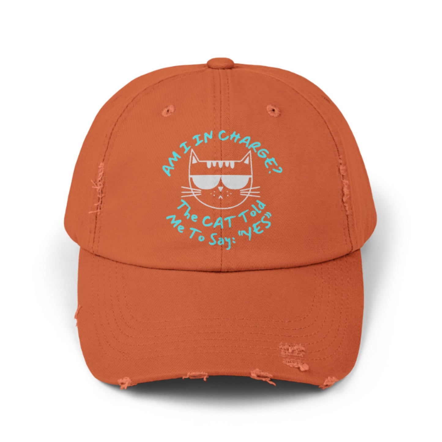 Funny Cat Hat – Distressed Black Baseball Cap, “Am I In Charge?” Cat Lover Gift