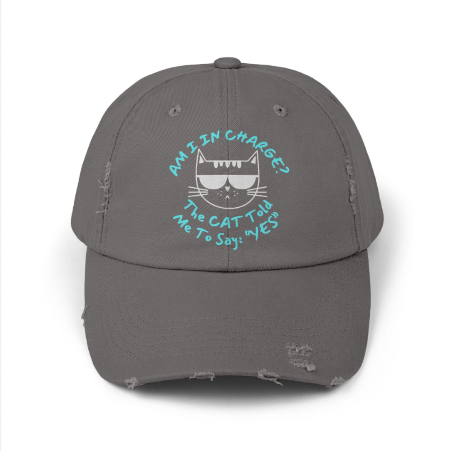 Funny Cat Hat – Distressed Black Baseball Cap, “Am I In Charge?” Cat Lover Gift