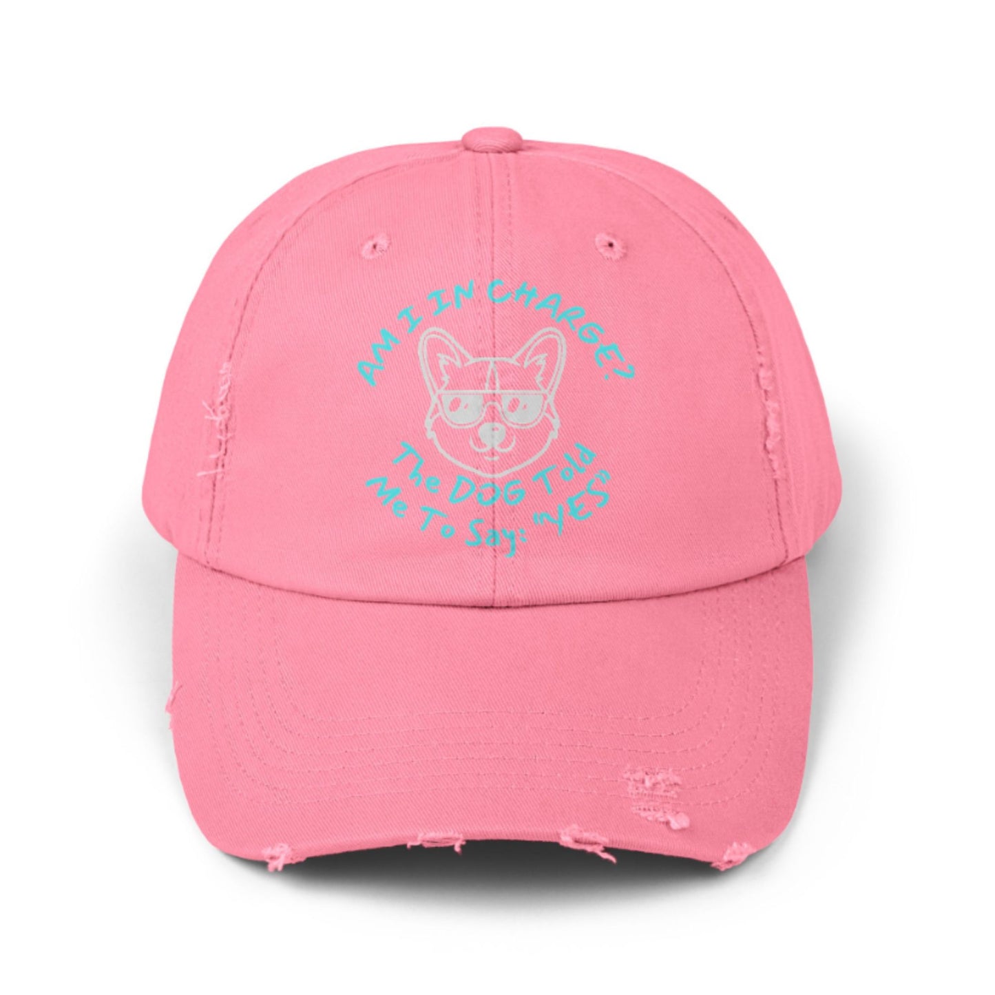 Funny Dog Hat – Distressed Black Cap, "Am I In Charge?" Dog Lover Gifts