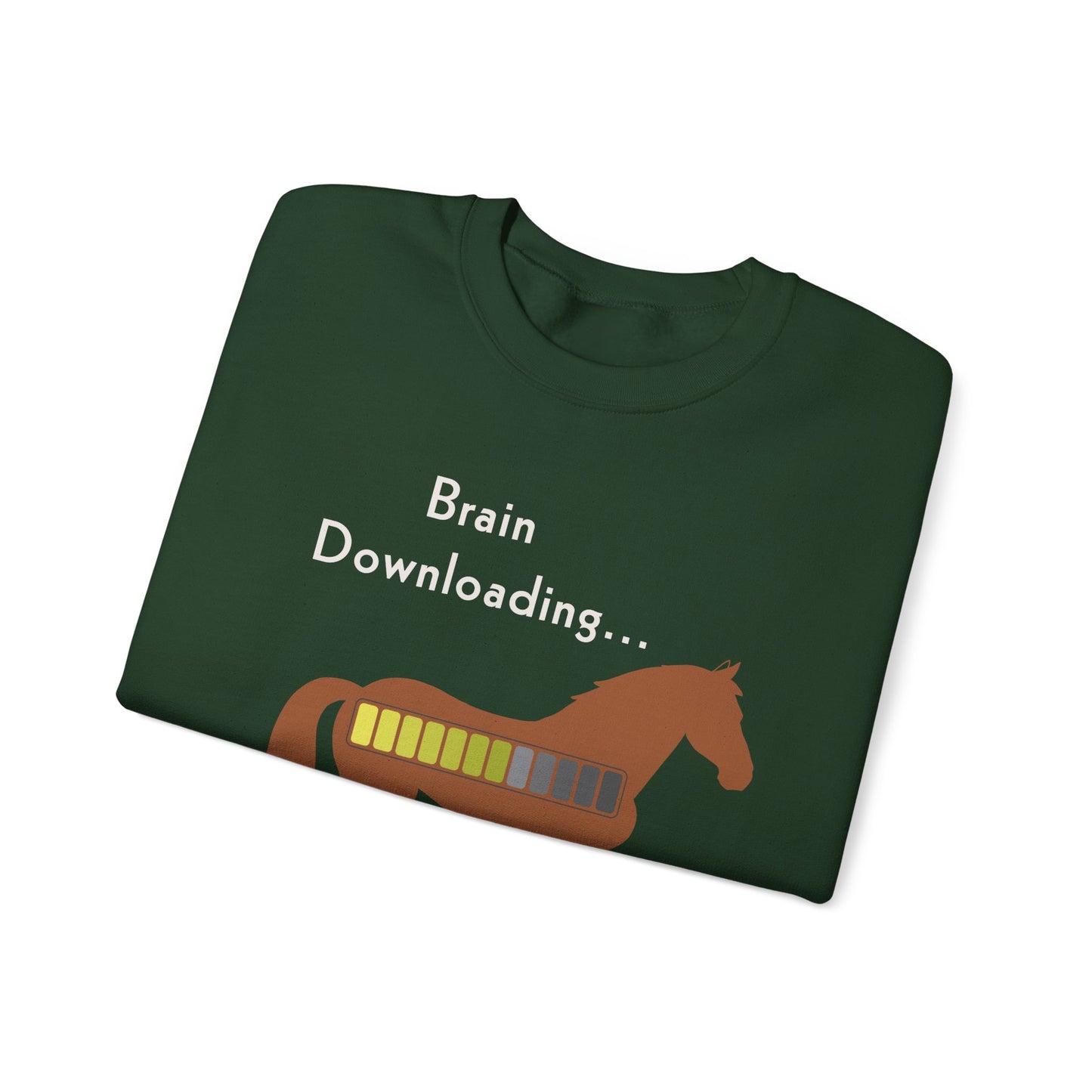Brain Downloading Horses Only Sweatshirt Funny Equestrian Crewneck