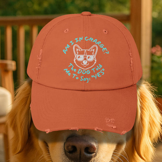 Funny Dog Hat – Distressed Black Cap, "Am I In Charge?" Dog Lover Gifts