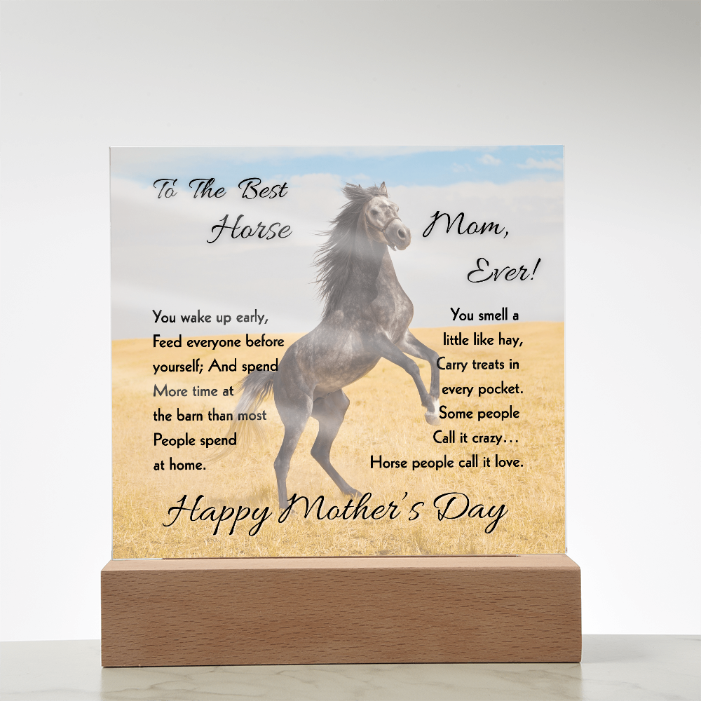 To The Best Mom Ever Acrylic Plaque – Thoughtful Mother's Day Gift & Decor