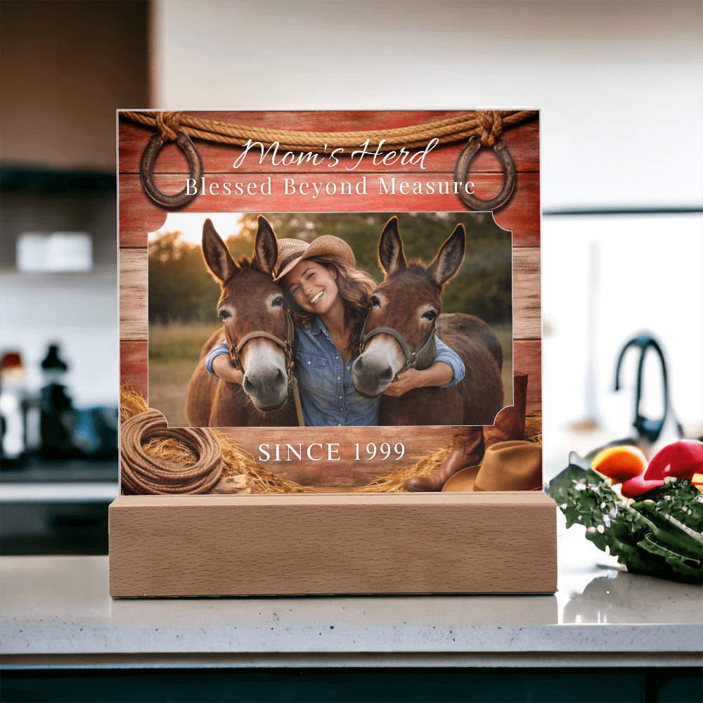 Mom's Herd Blessed Beyond Measure Photo Acrylic Plaque – Custom  Gift For Mule Lovers