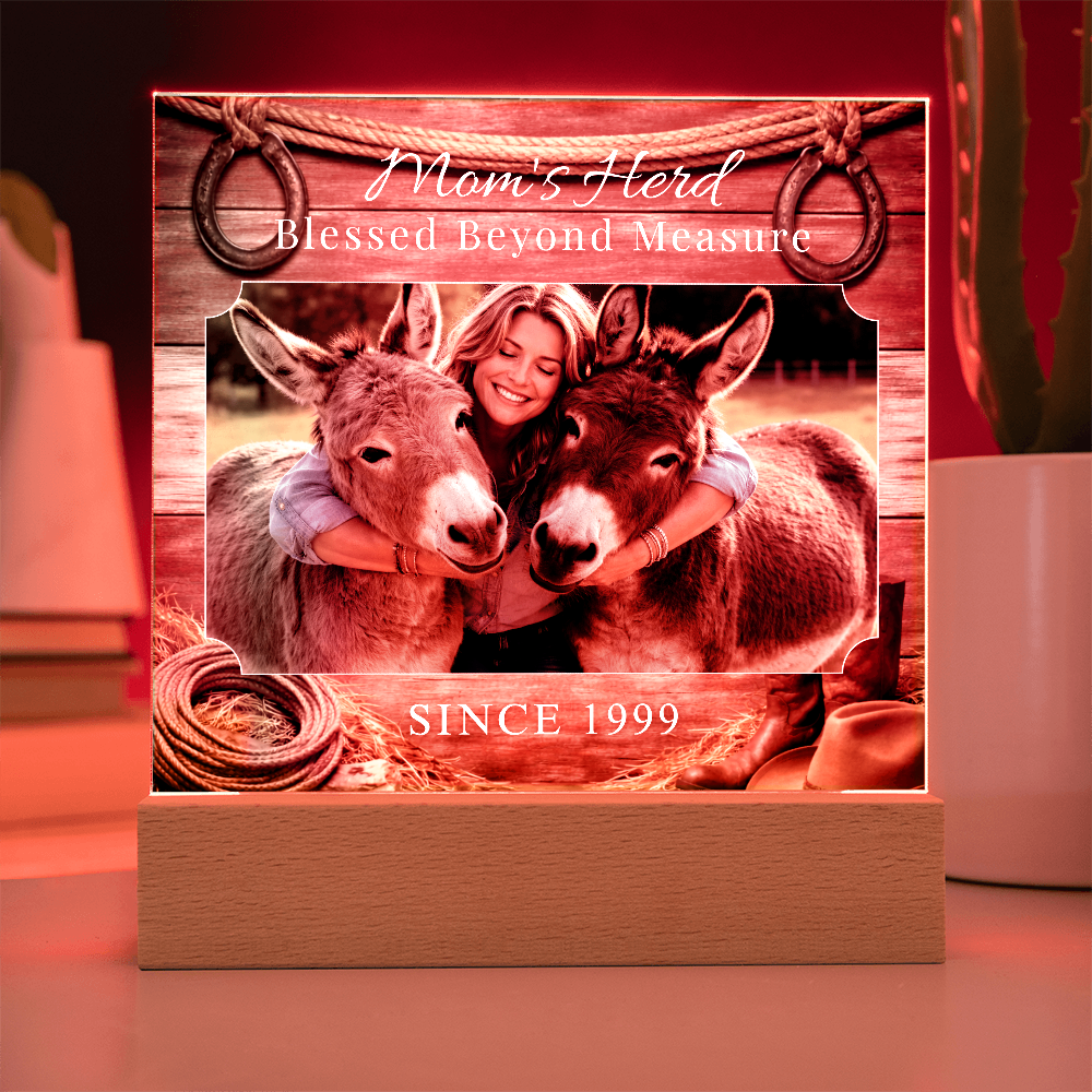 Mom's Herd Blessed Beyond Measure Photo Square Acrylic Plaque – Personalized Donkey Lovers Gift